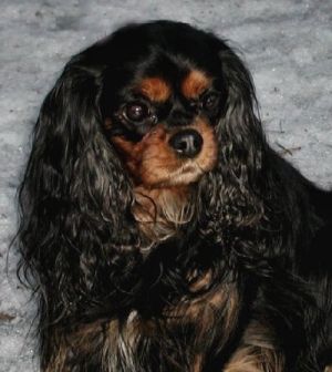 ella